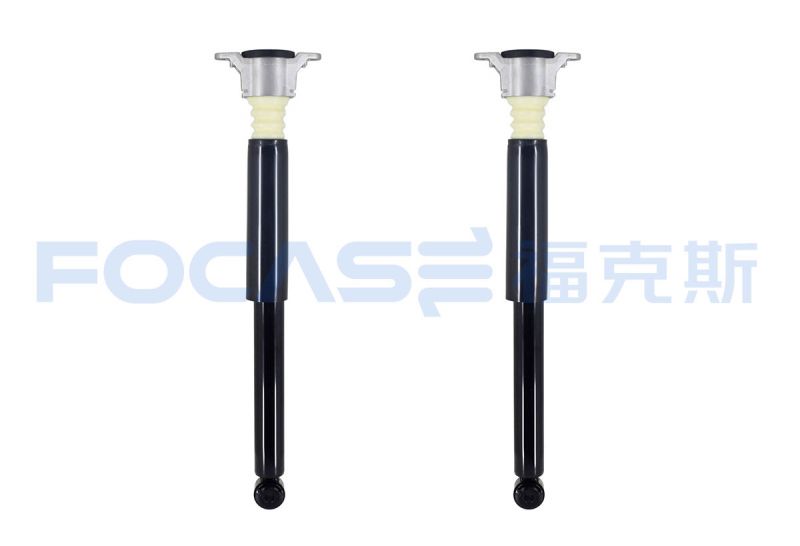 Assembly shock absorber